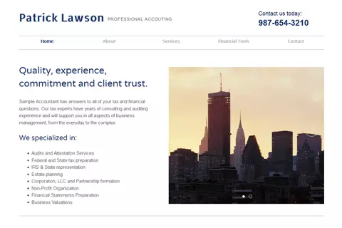 Professional Accounting