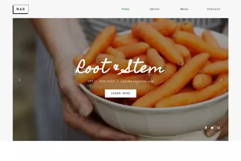 Root & Stem
