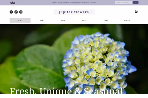 Jupiter Flowers