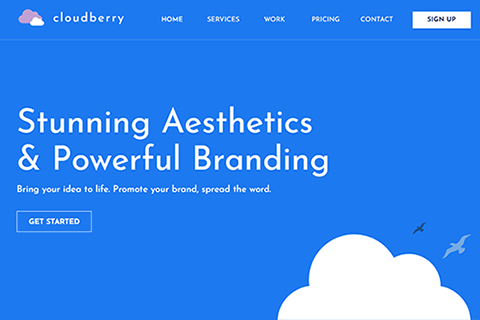Cloudberry