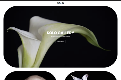 Solo Gallery