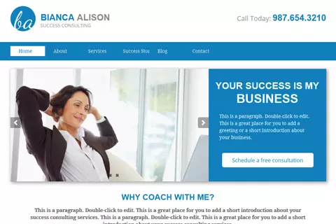 Success Consulting