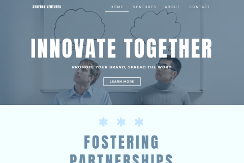 Synergy Ventures