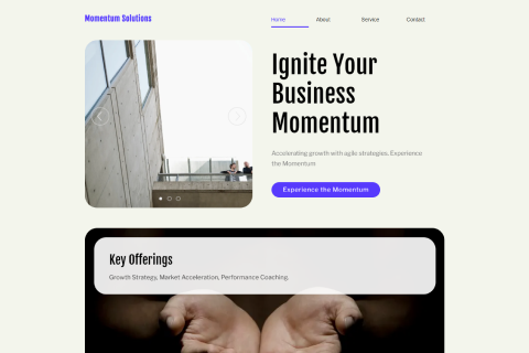 Momentum Solutions