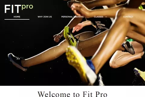 Fit PRO