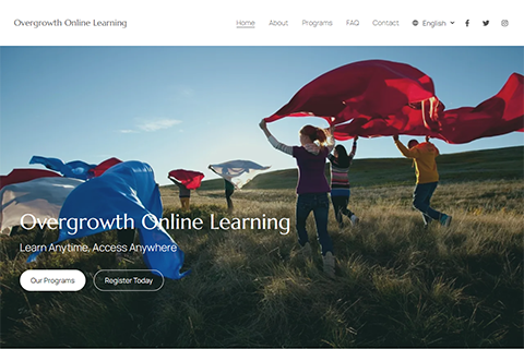 Overgrowth Online Learning