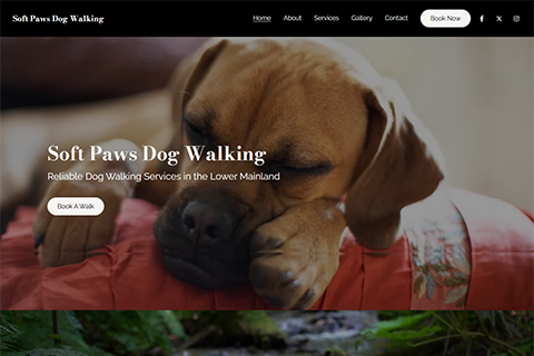 Soft Paws Dog Walking