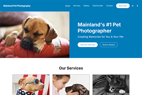 Mainland Pet Photography